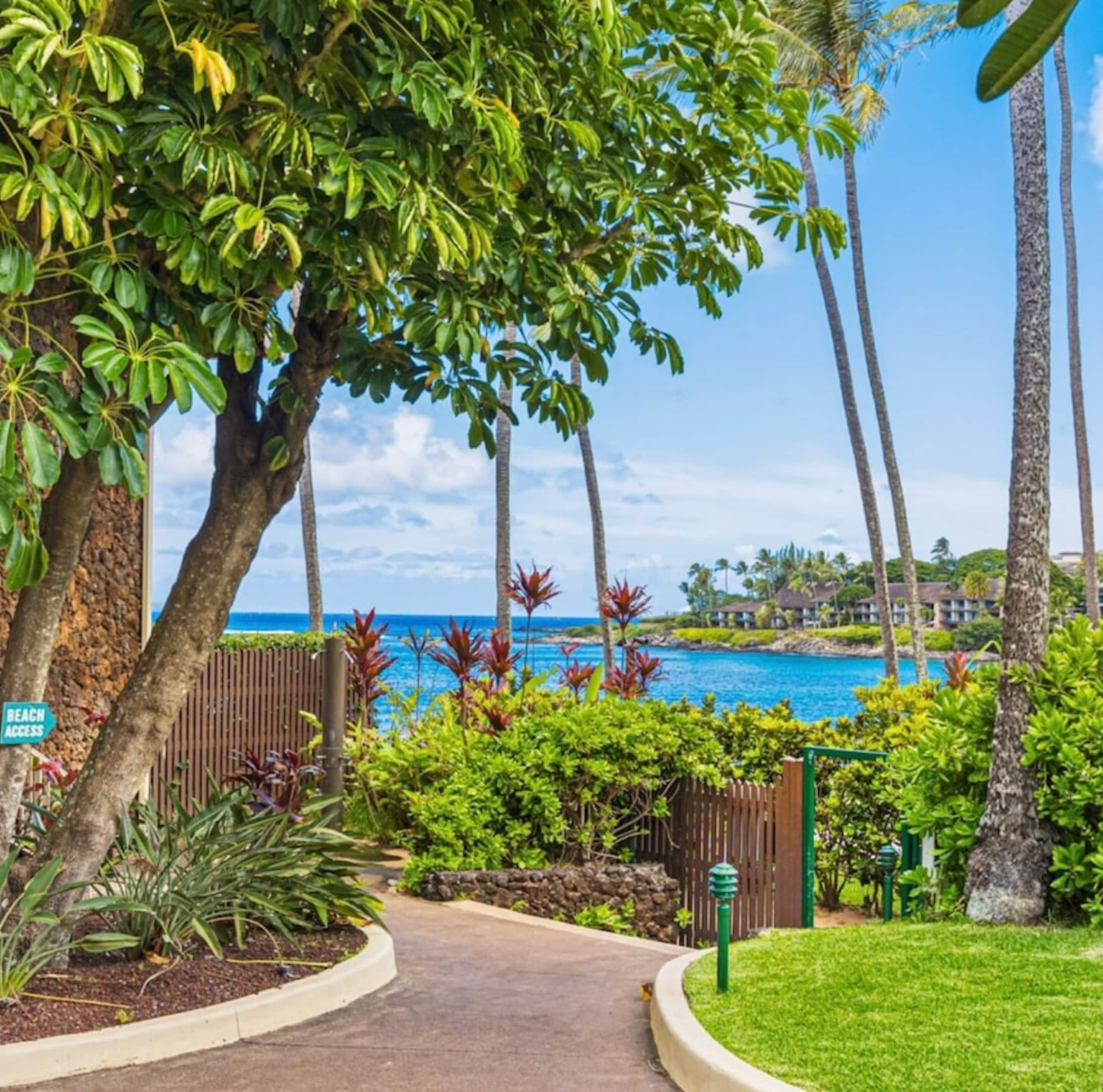 Oceanfront Resort Maui~ AC/King~ Sandy Napili Bay! - Image 38
