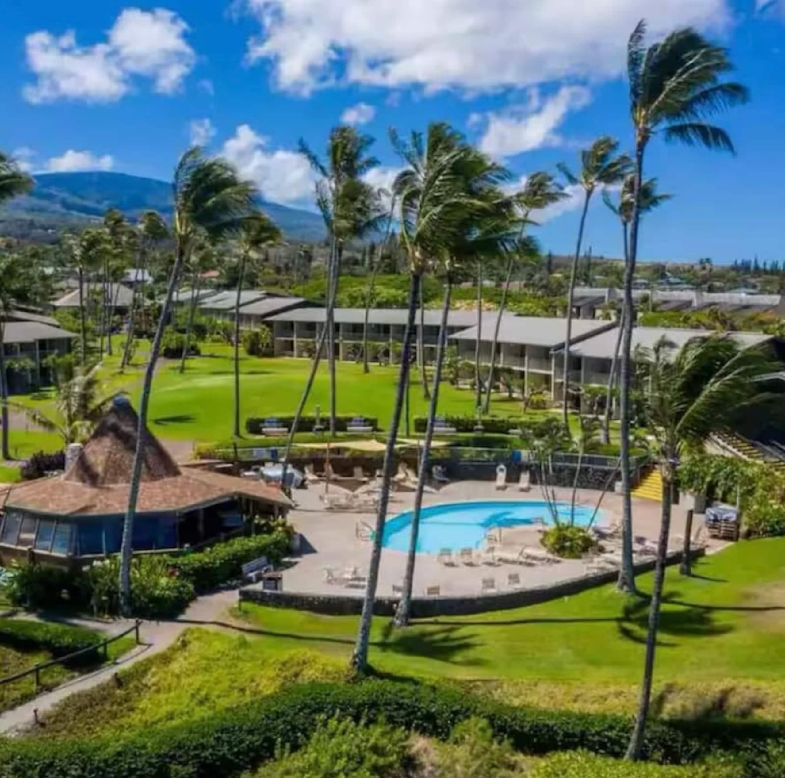 Oceanfront Resort Maui~ AC/King~ Sandy Napili Bay! - Image 50