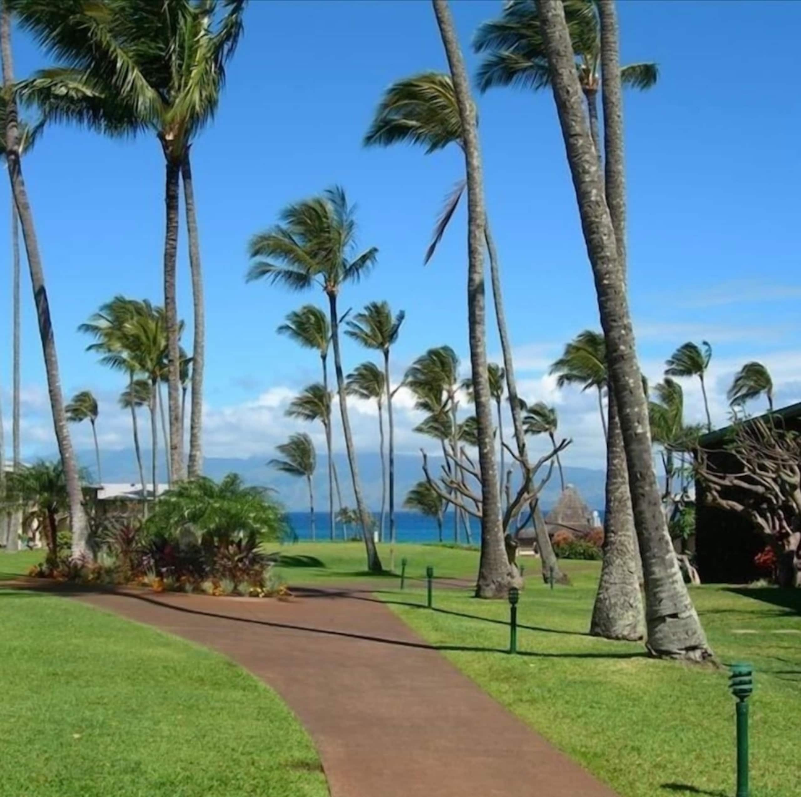 Oceanfront Resort Maui~ AC/King~ Sandy Napili Bay! - Image 36