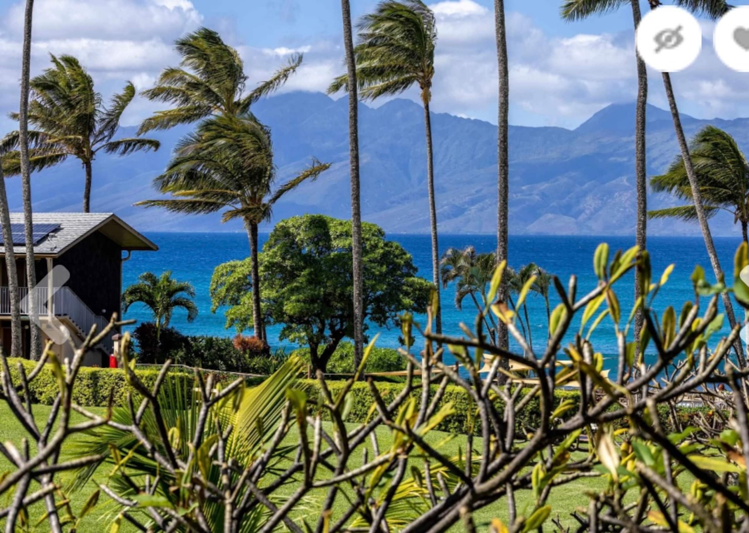 Oceanfront Resort Maui~ AC/King~ Sandy Napili Bay! - Image 25