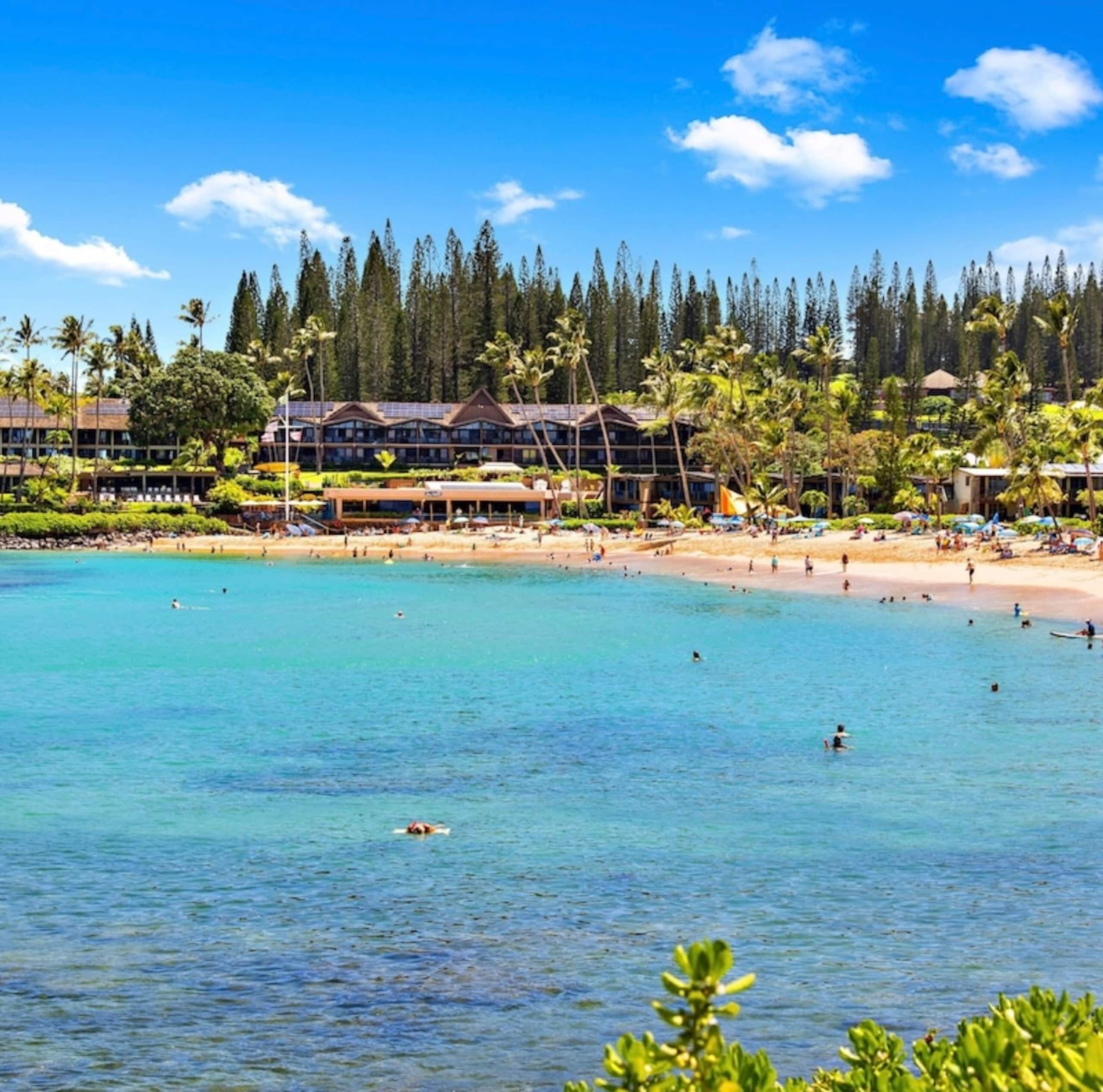 Oceanfront Resort Maui~ AC/King~ Sandy Napili Bay! - Image 46