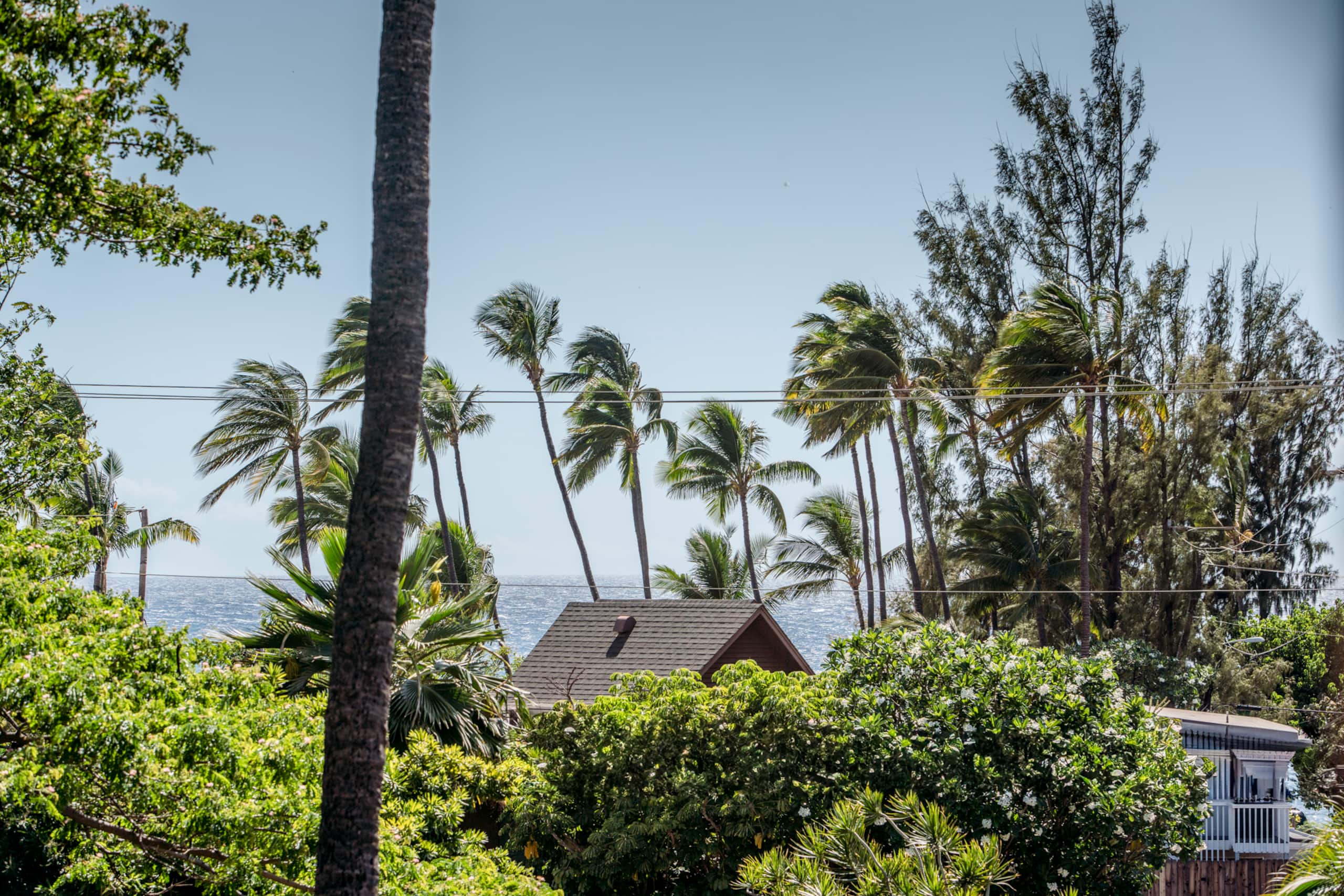 Cute Ocean View Condo in Kihei at Maui Vista - Image 19