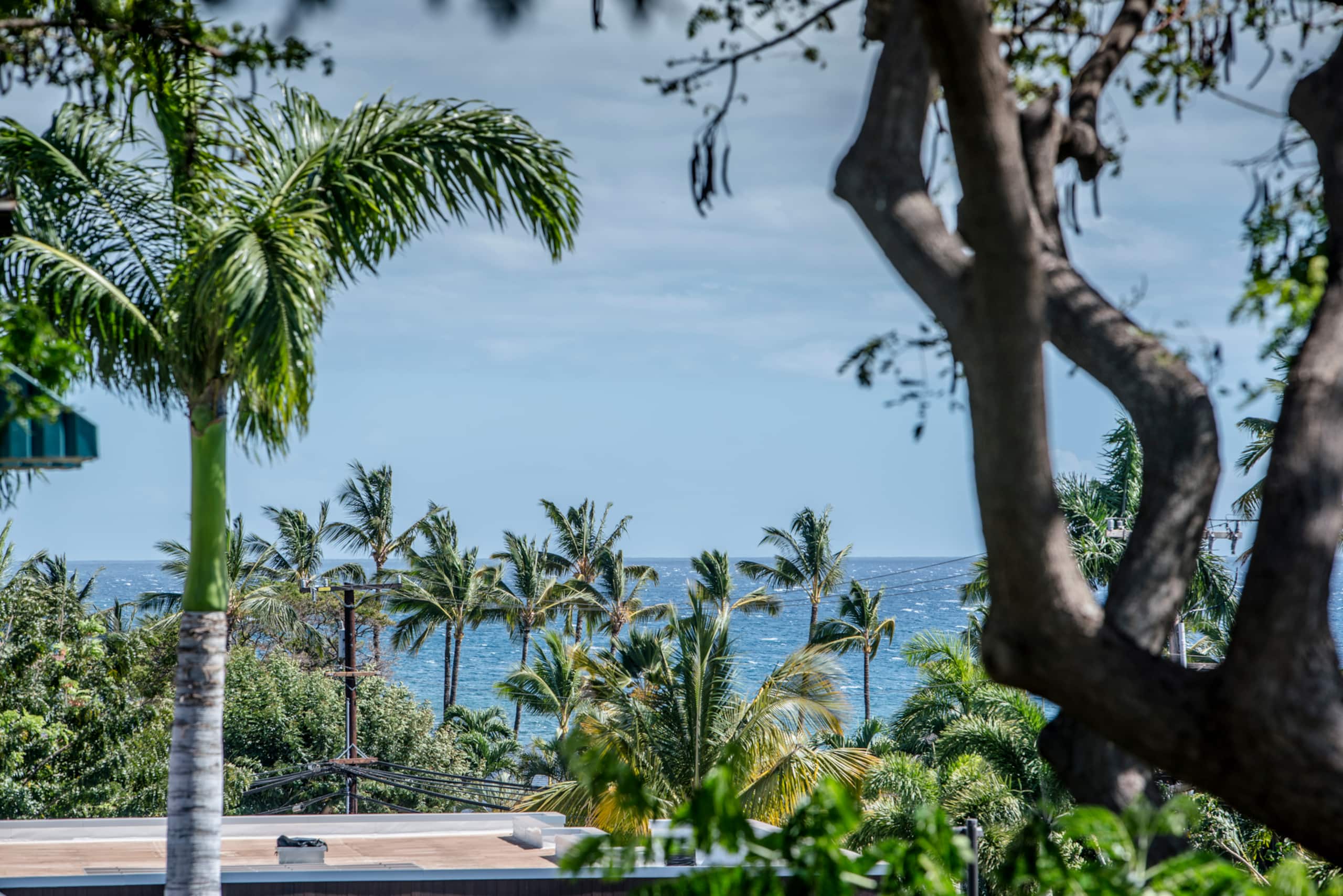 Cute Ocean View Condo in Kihei at Maui Vista - Image 18