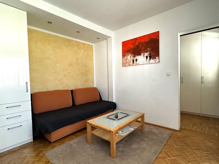 Hof bei Salzburg Family-Friendly Rentals - Salzburg, Austria | Airbnb