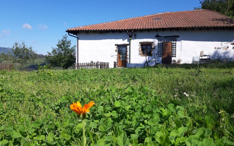 A spacious house is displayed, surrounded by lush green grass and dotted with wildflowers. The rustic exterior showcases white walls and a warm tiled roof, while wooden doors and windows add a natural touch. Open fields and trees create a serene outdoor environment.