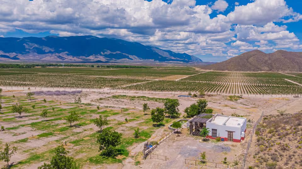 An aerial view captures a charming cabin set amidst expansive vineyards and open fields under a bright sky. Rolling mountains provide a backdrop, while rows of grapevines extend towards the horizon, creating a serene agricultural landscape.