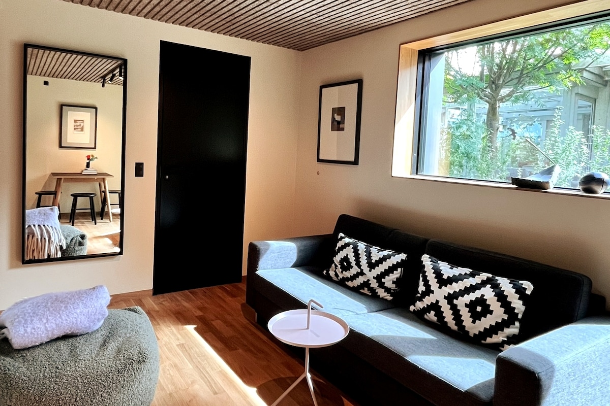 ספה נפתחת בסלון עם משטח שינה בגודל 2 על 1.6 מטר.