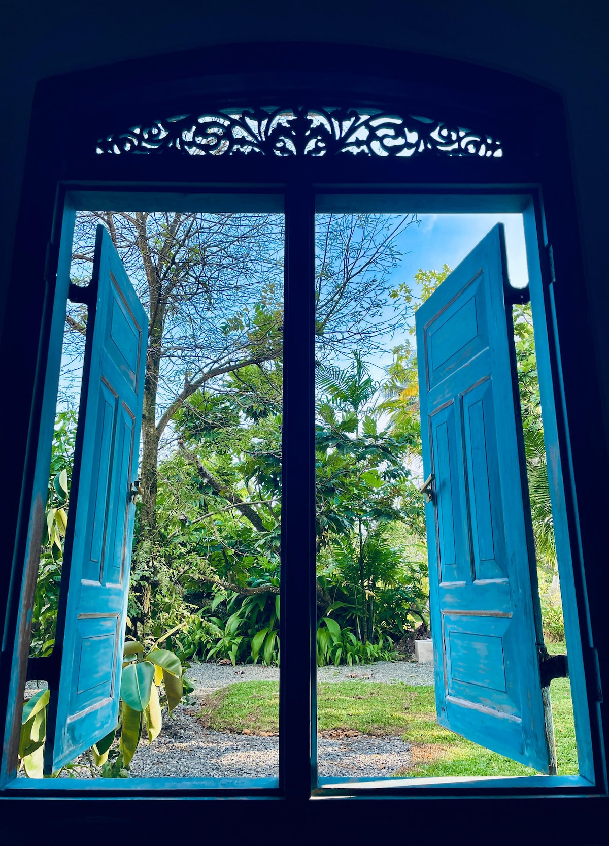 Bright blue shutters frame a view of a lush garden filled with greenery. Sunlight filters through the open window, illuminating the natural landscape and highlighting the textured patterns at the top of the window.
