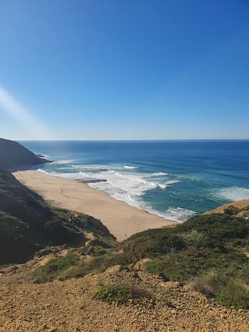Offgrid Forest Dome by the Sea