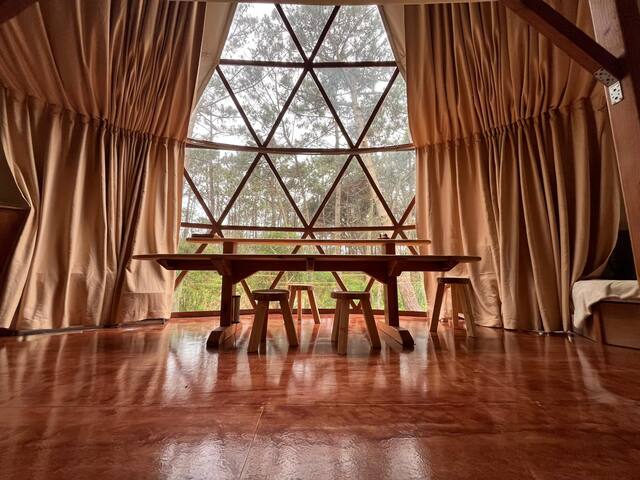 Offgrid Forest Dome by the Sea gallery image 5