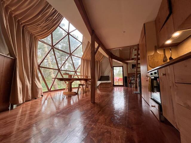 Offgrid Forest Dome by the Sea gallery image 4