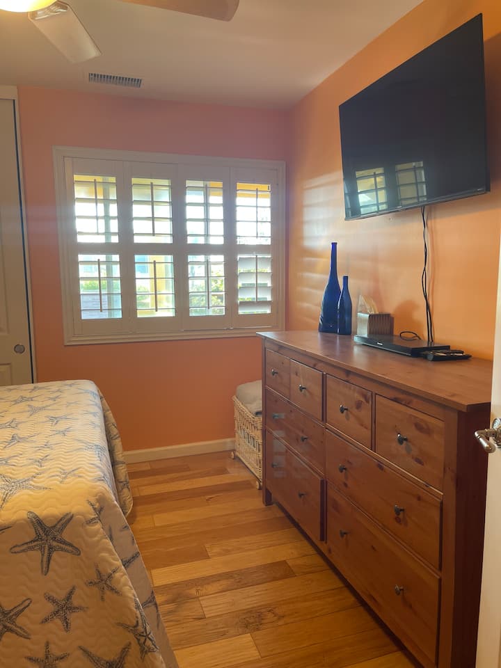 Camera da letto per gli ospiti con smart TV e lettore di raggi blu