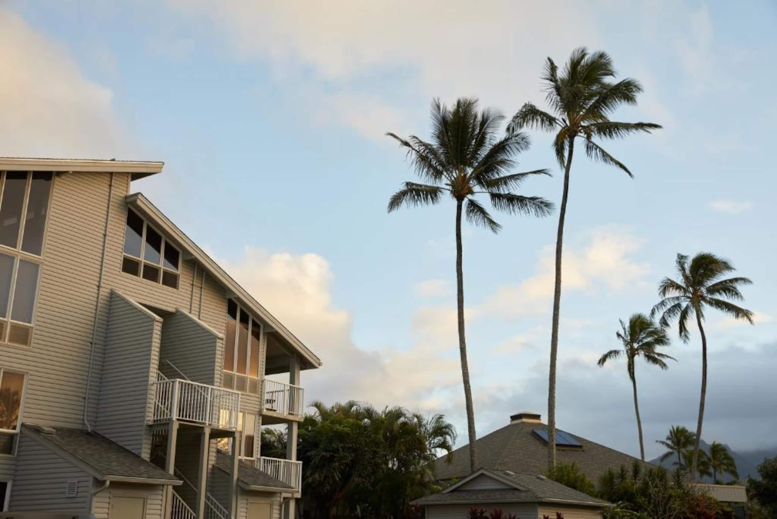 Secluded 1BR/1BA getaway @ The Cliffs Club - Photo 16