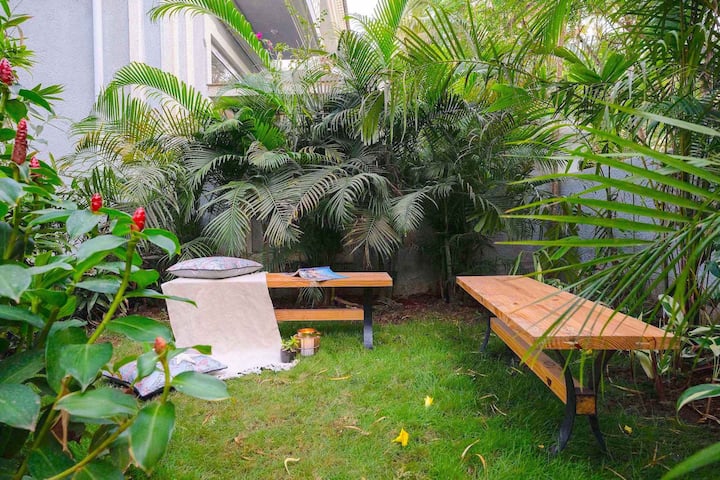 ✨A cozy garden corner with wooden benches among greens, a serene spot for quiet moments and morning chai✨