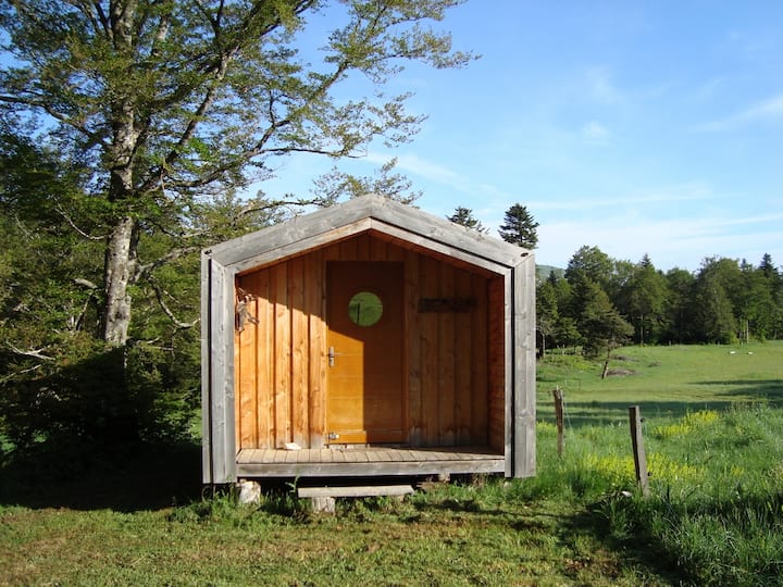 Седишта во Тајга 2