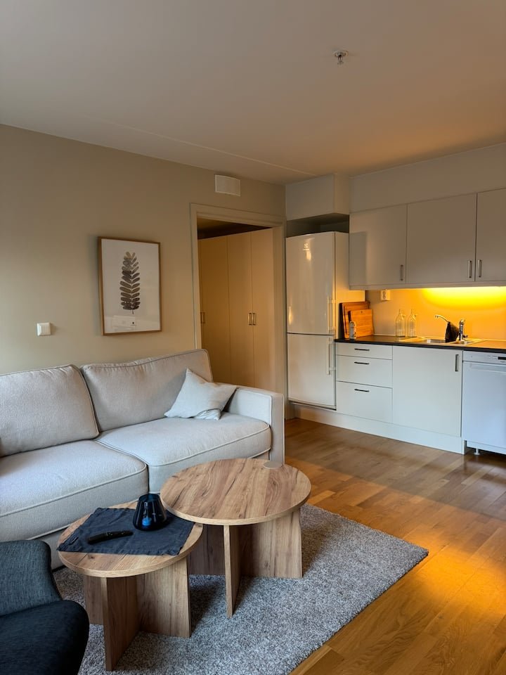 Leilighet I Oslo - Oslo
