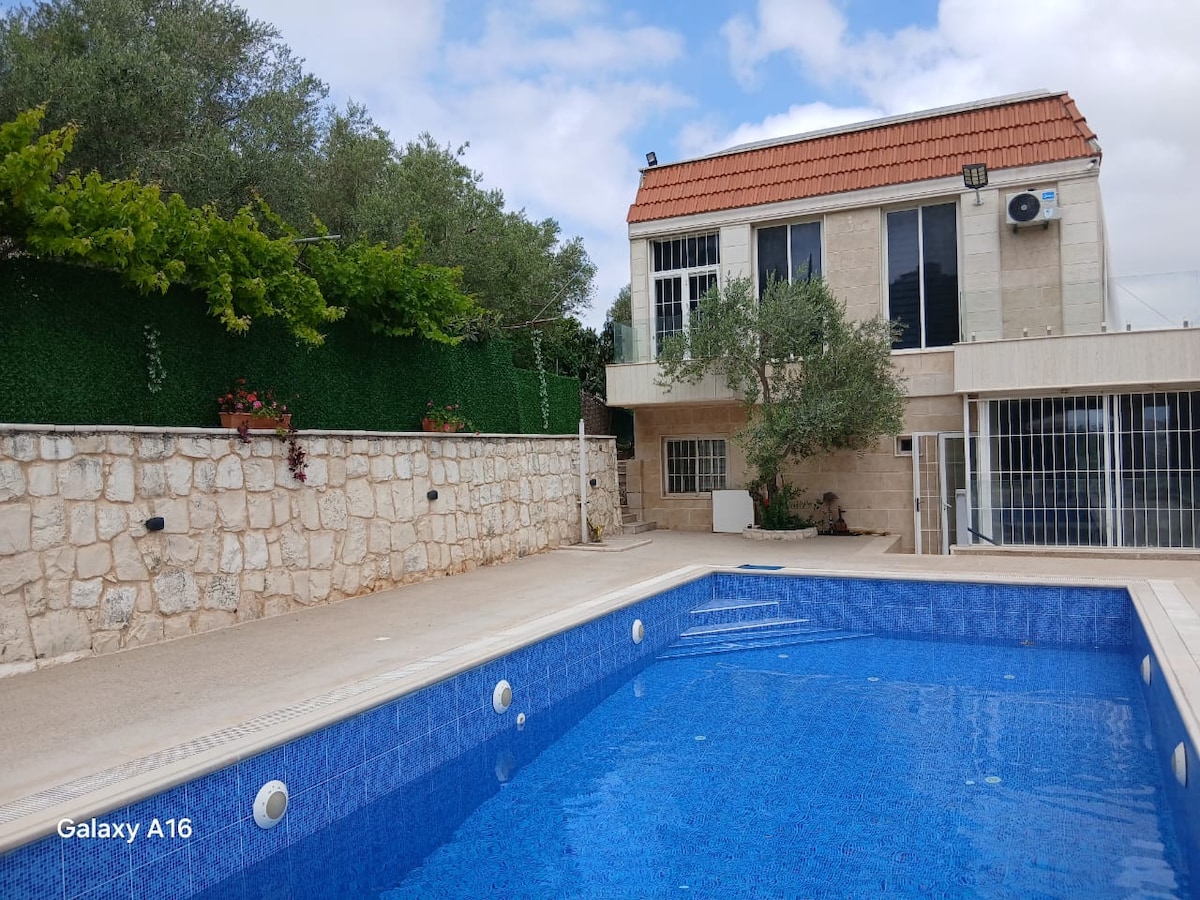 The outdoor area features a private swimming pool with bright blue tiles, reflecting the sky. Surrounding walls made of natural stone are complemented by lush greenery. The villa's large windows provide sunlight to the exterior, showcasing its modern architectural style.