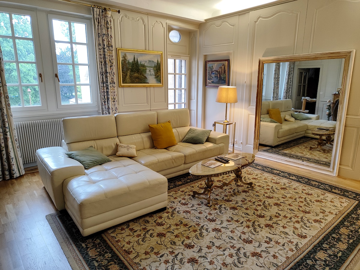 Airbnb performant: Large apartment in house of tanners à Dole