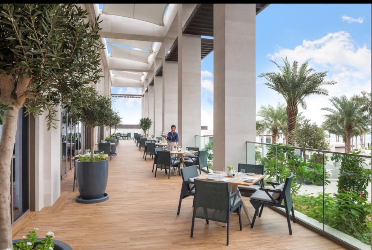 An outdoor dining area is lined with dark chairs and wooden tables shaded by large potted olive trees. Lush greenery and palm trees are visible in the background, while sunlight filters in through the overhead structure, creating a pleasant atmosphere.