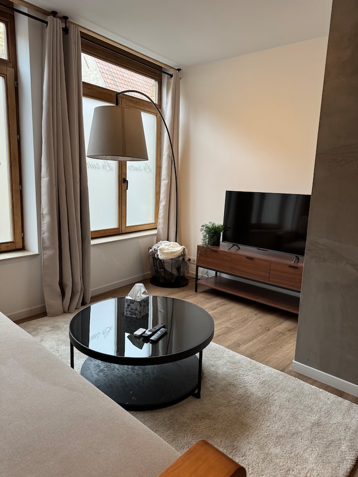Duplex Avec Jacuzzi Et Sauna Privatif . - Veurne