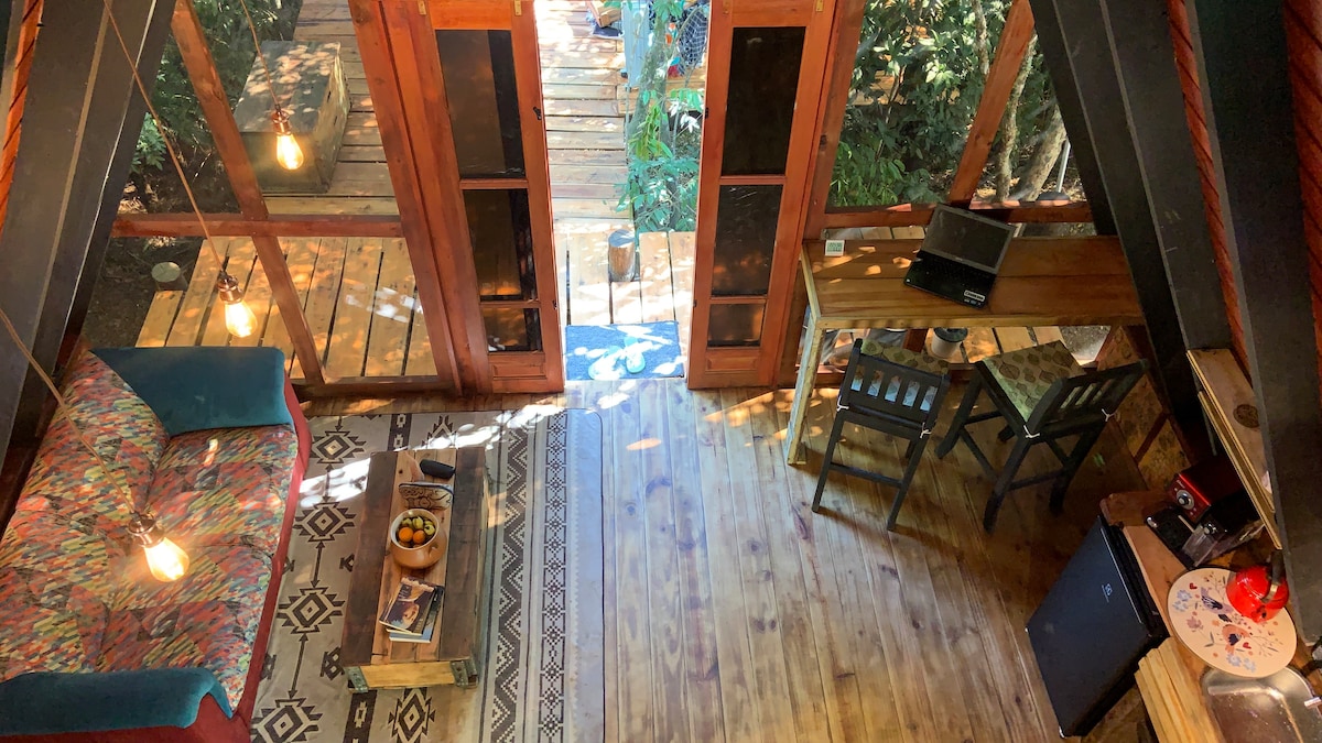 An aerial view of the living area shows a cozy sofa adorned with patterned cushions, paired with a wooden table and chairs. Natural light filters through large windows, illuminating the wooden floor and creating a connection to the surrounding greenery.