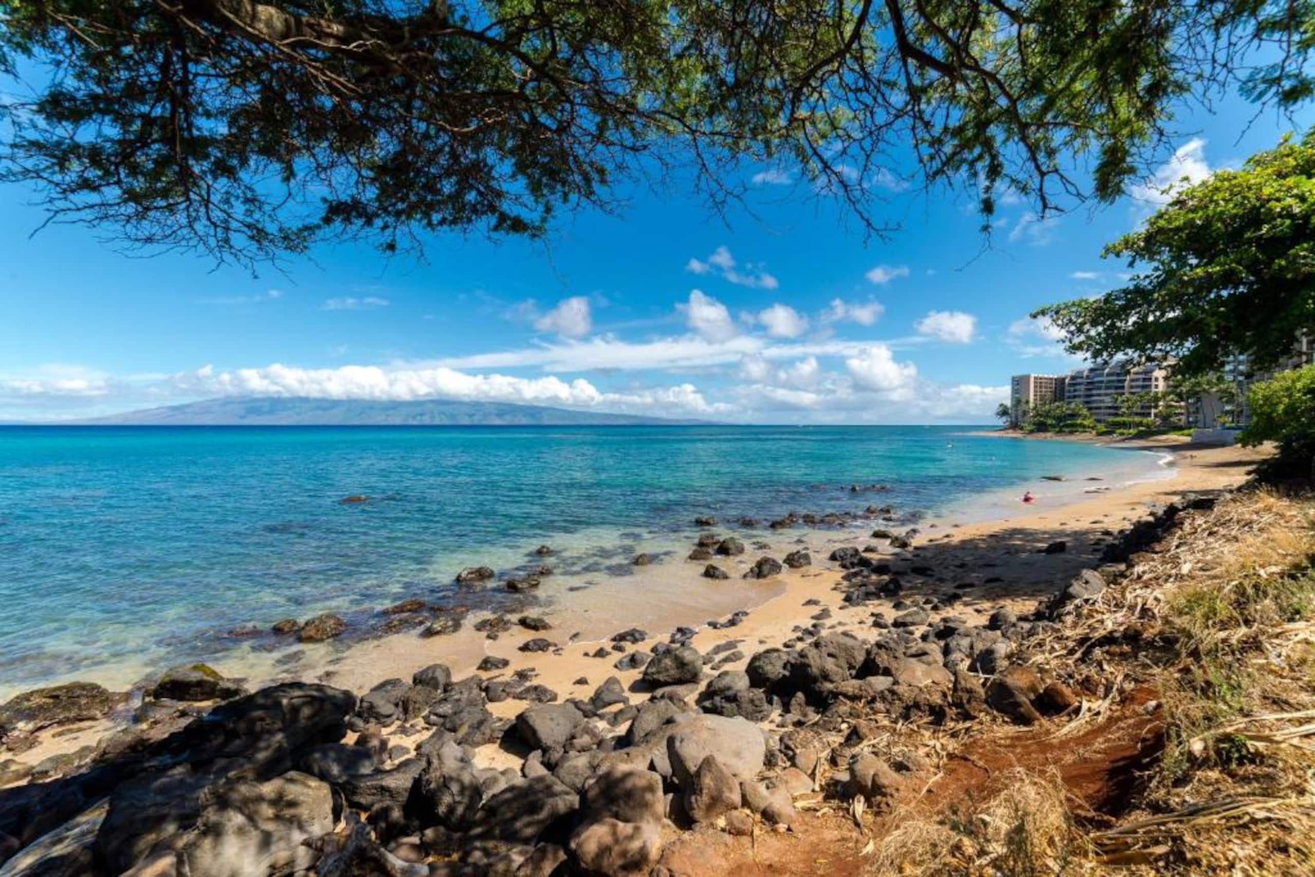 Oceanfront Gem | Sunsets + Lanai - Photo 26