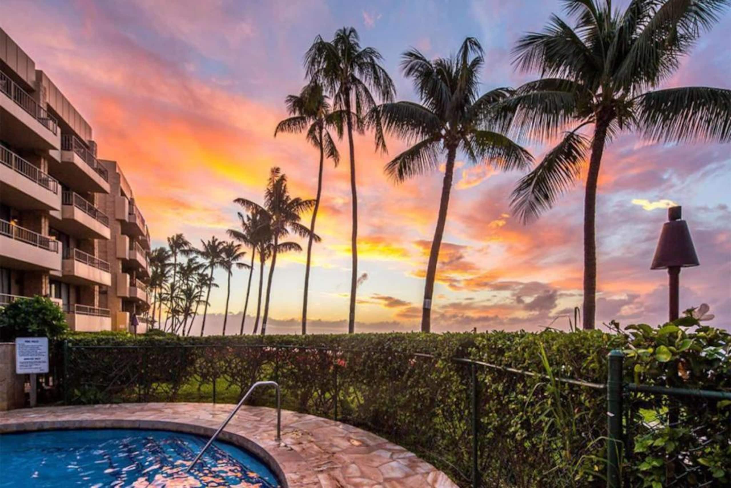 Oceanfront Gem | Sunsets + Lanai - Photo 24