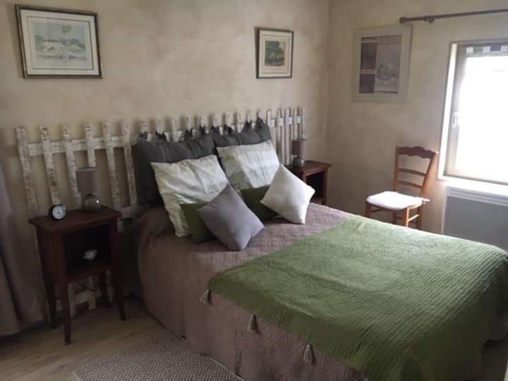 Gîte "La Guernouille Verte" - Marais poitevin