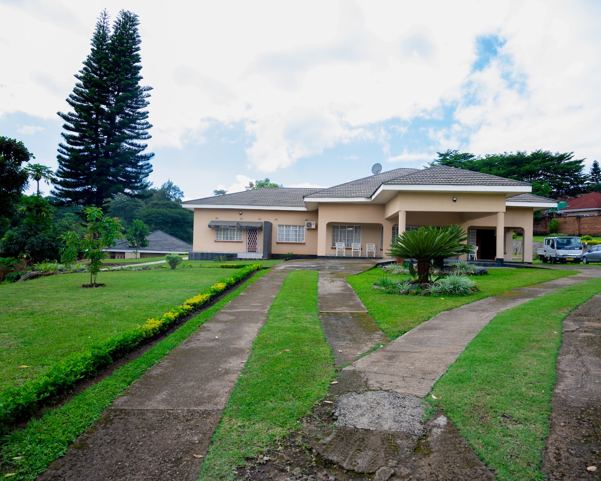 A single-story home is surrounded by a well-maintained garden featuring trimmed hedges and diverse greenery. A circular driveway leads to the entrance, with a covered patio visible. Towering pine trees stand in the background, contributing to the serene setting.