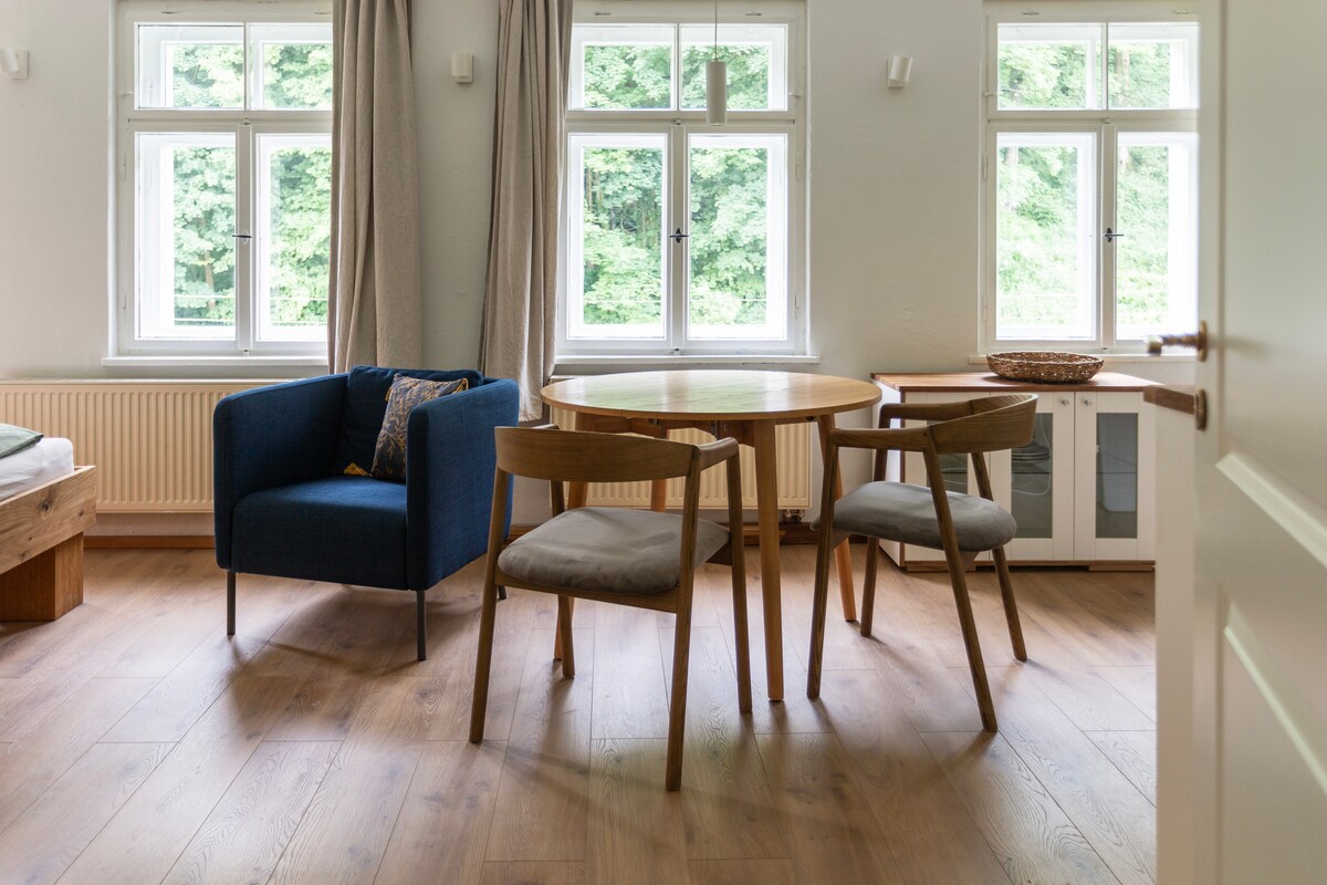 Popular Airbnb listing: Bright apartment with forest view in Bad Schandau