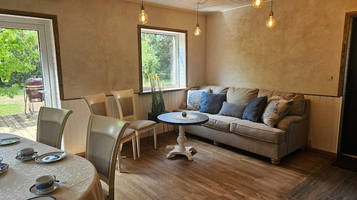 Пространа дневна соба со отворен кичен (25 м2), удобна за 10 гости