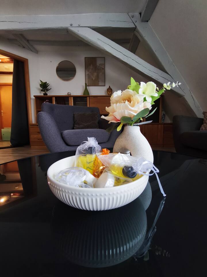 Clos Secret - ÉVasion Paisible Cœur De Wissembourg - Wissembourg
