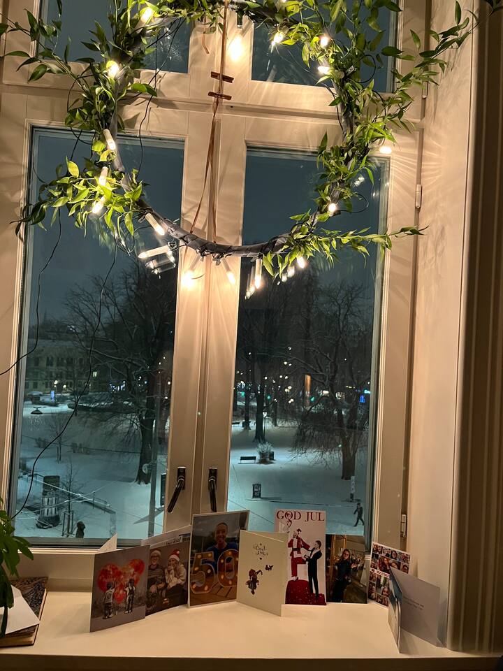 View from livingroom January 4, 2025