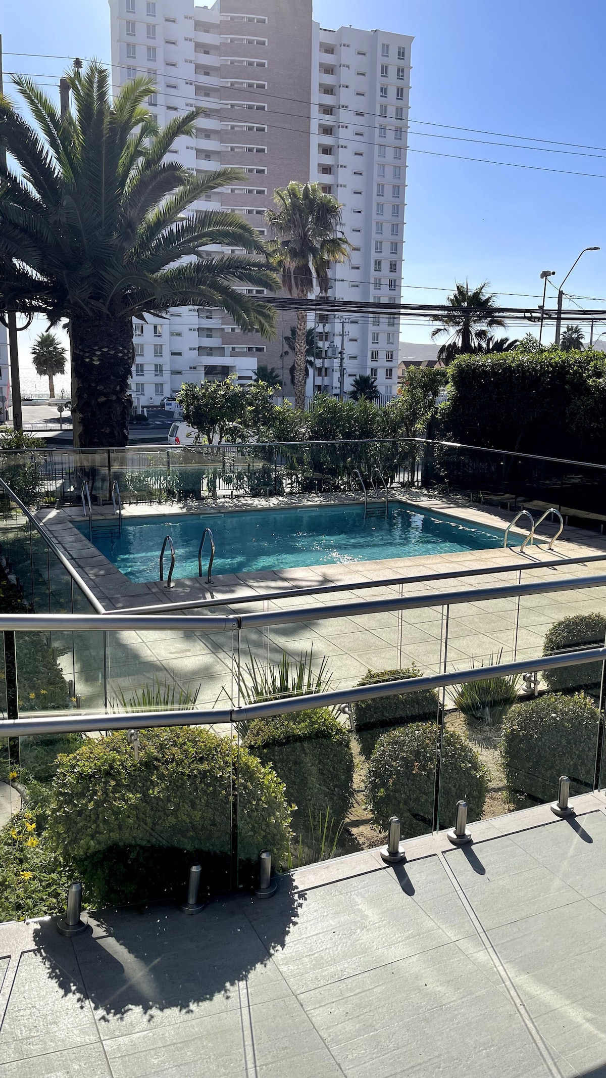 A clear view of a tranquil swimming pool surrounded by lush greenery. Palm trees are visible near the pool's edge, with modern buildings in the background. A glass railing provides a sense of openness, allowing natural light to illuminate the space.