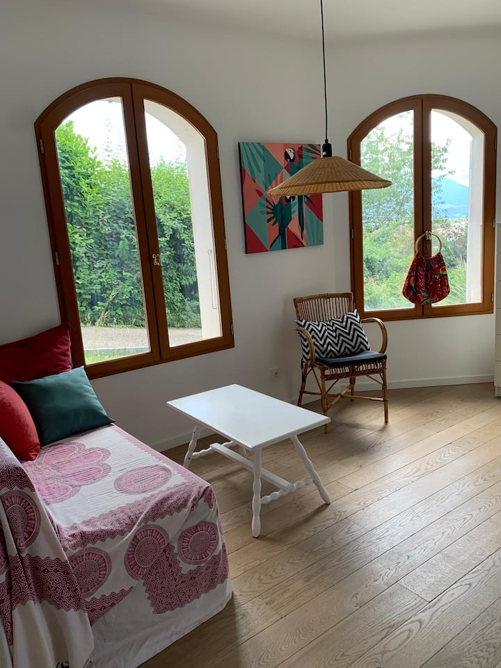 Charmant Appartement 50m2 Avec Terrasse Et Jardin - 阿訥西