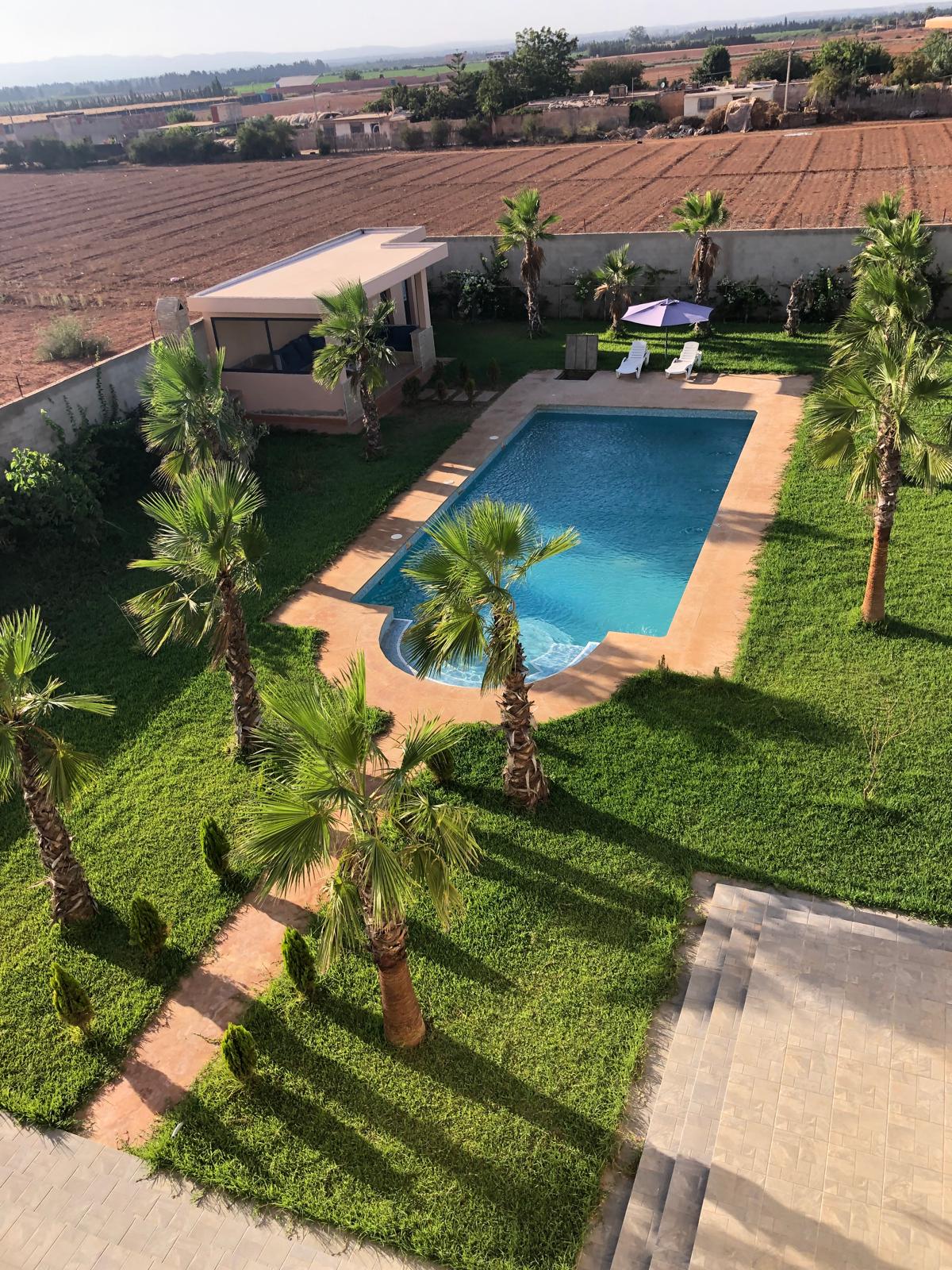 The image captures a private swimming pool surrounded by lush green grass and palm trees. A pergola is visible beside the pool, along with two lounge chairs, creating a serene outdoor space. The surrounding landscape features neatly arranged fields in the distance.