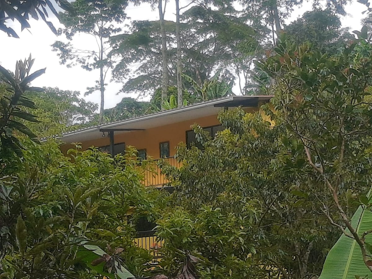 A multistory building with vibrant yellow walls is nestled among lush greenery. Tall trees surround the structure, providing natural shade and a serene environment. Numerous large plants and foliage frame the view of the building, enhancing its integration with the surrounding landscape.