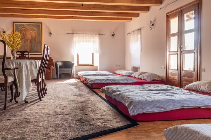 Comfortable and convenient dorm-style accommodations for groups of all sizes. Rest easy and enjoy the company of your fellow travellers in our spacious and welcoming sleeping arrangements.