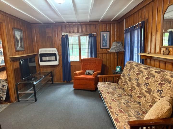Rustic Cabin 2 - Vagabond Resort - Gladstone, MI