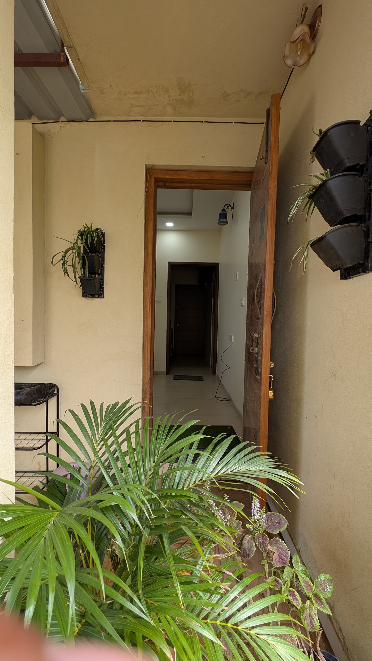An entryway is framed by a potted plant, leading into a well-lit interior space. The door is constructed of wood, with a simple design. Visible wall planters add a touch of greenery, complementing the inviting atmosphere of the entrance.