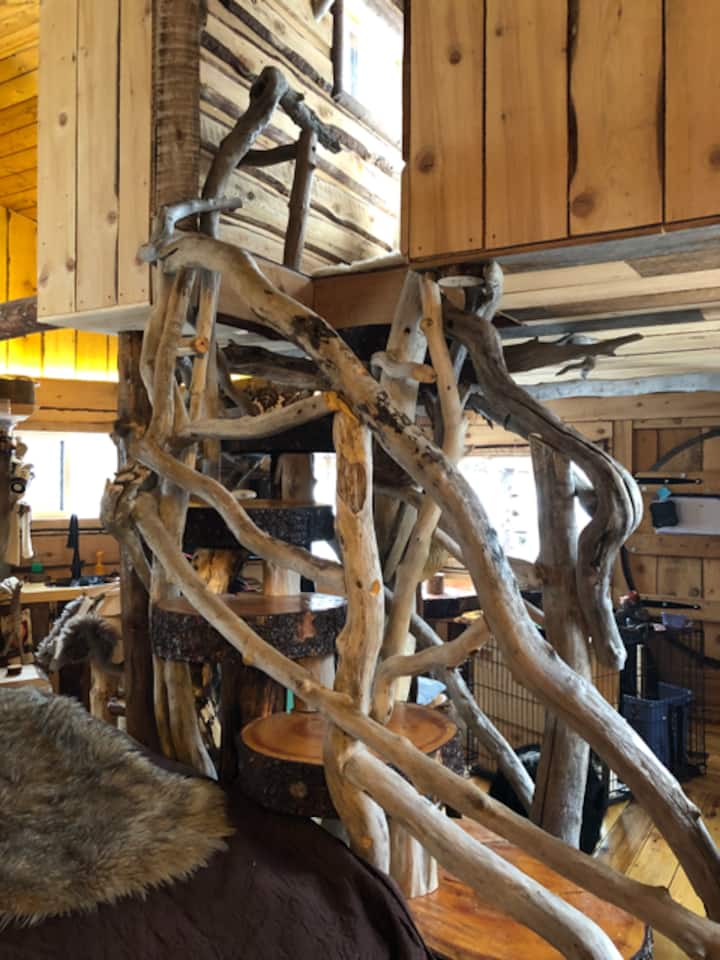 Spectacular treehouse claw foot tub w/ lake view.