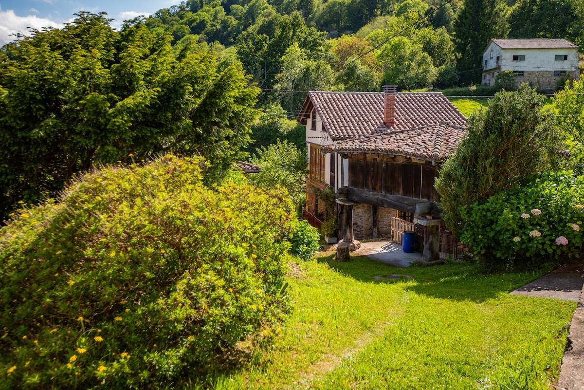 The exterior of a rustic two-story house is framed by lush greenery and mature trees. A mix of stone and wood elements create a welcoming facade, while a pathway leads to the entrance, surrounded by vibrant shrubs and flowering plants.