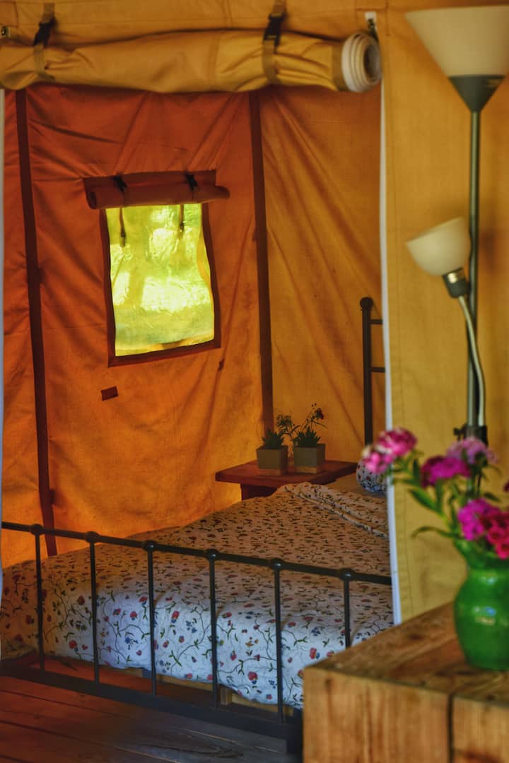 Lodge Safari 69 - Saint-Antonin-Noble-Val