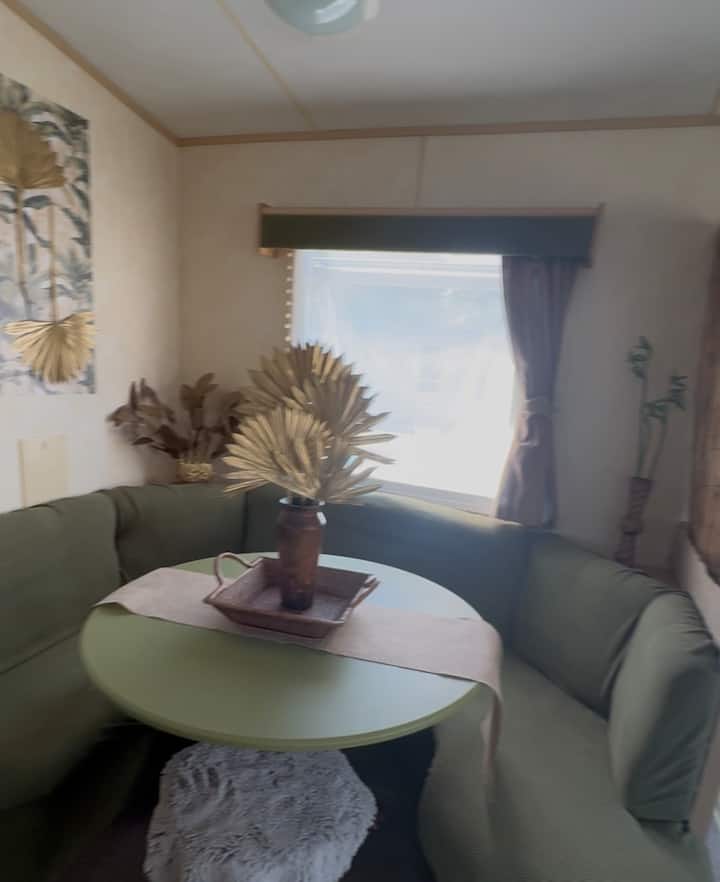 Aventurine Is Our Cosy Pet Van - Hornsea