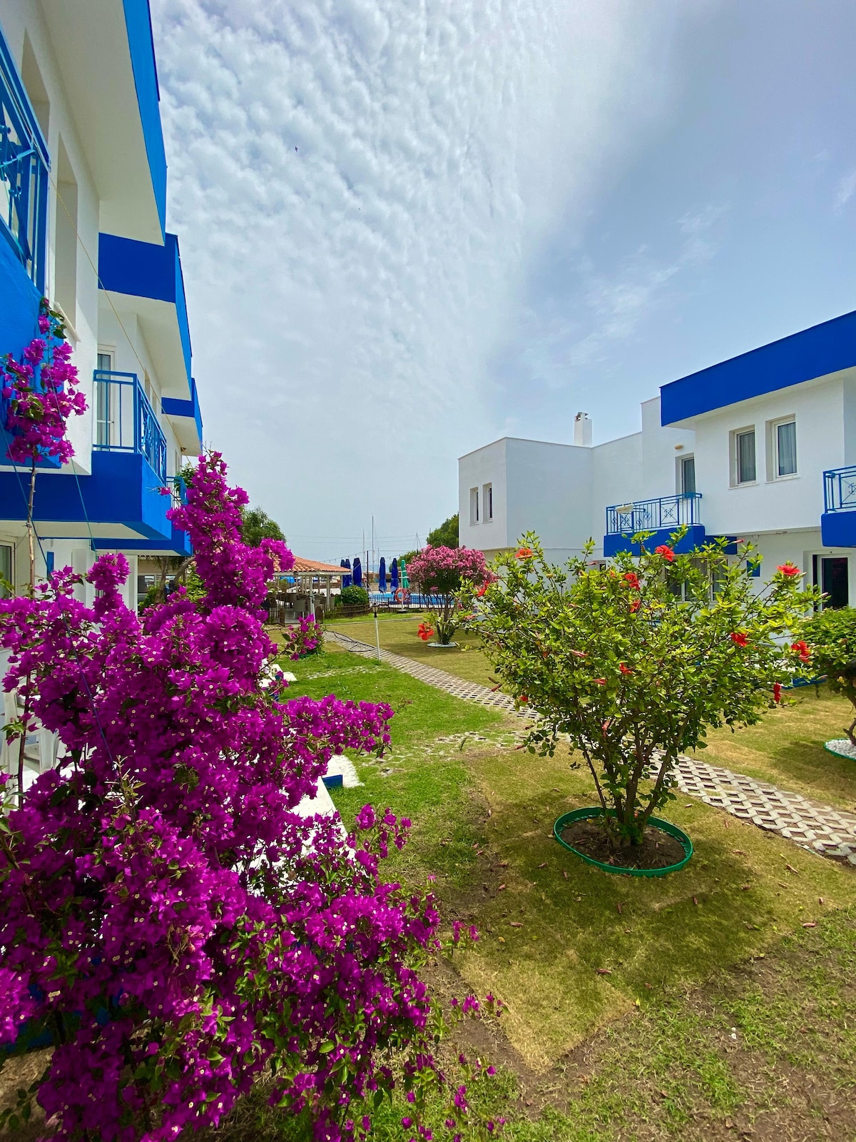 A garden area is presented, featuring vibrant purple flowers alongside green shrubs. Two white buildings with blue accents are visible in the background. A pathway meanders through the garden, with amenities such as sun loungers and umbrellas appearing in the distance.