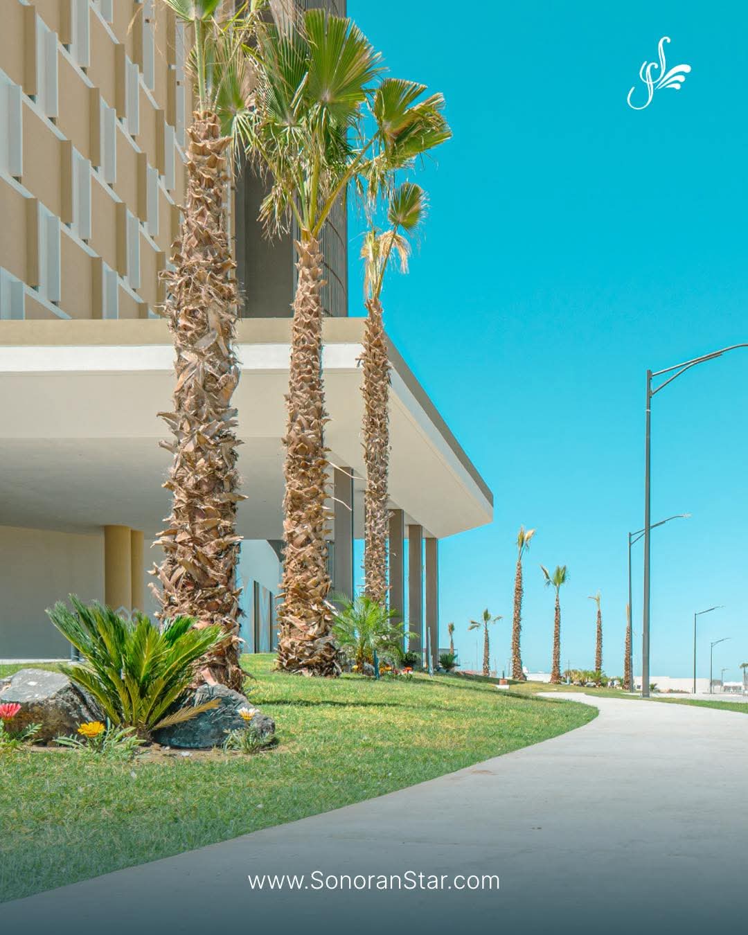 3BR Condo in Puerto Peñasco — 3 bedroom vacation rental in Puerto Peñasco