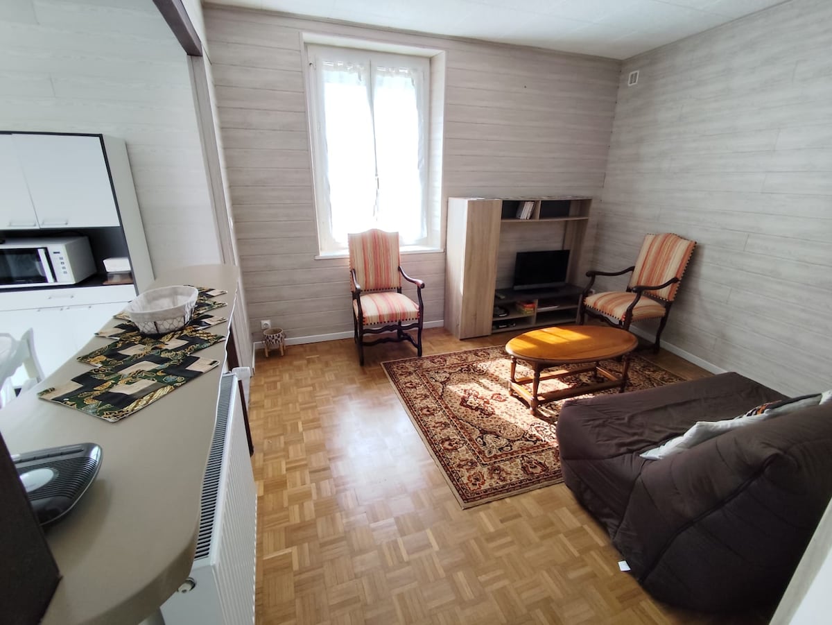 Successful Airbnb property: Small house in Blois