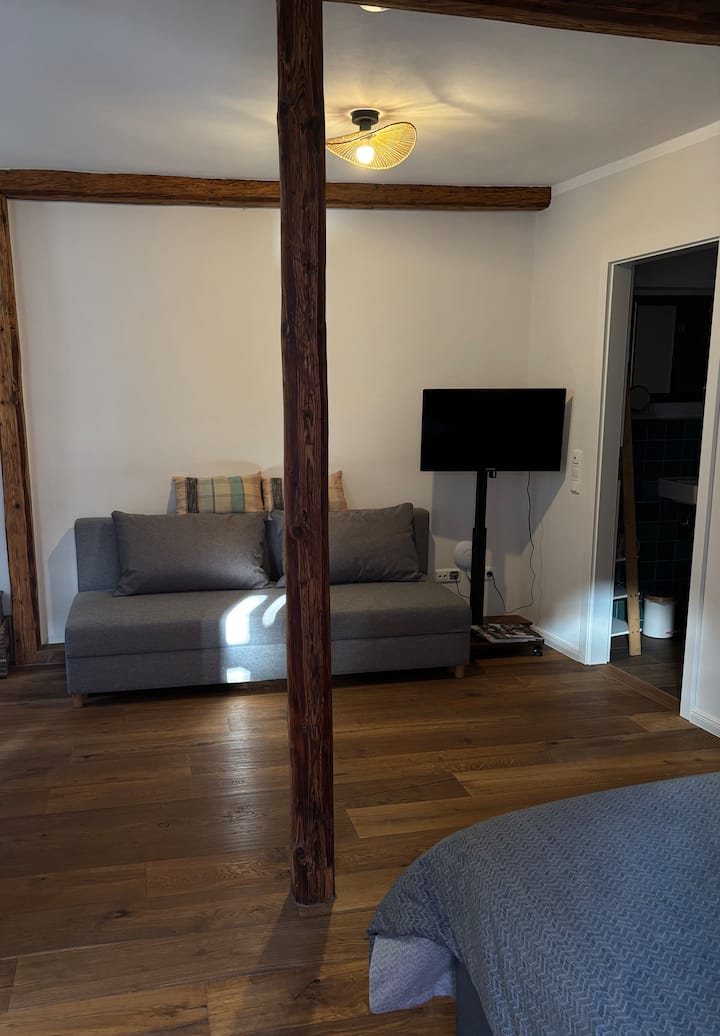 Apartment Im Hof Liesel - Ingelheim am Rhein