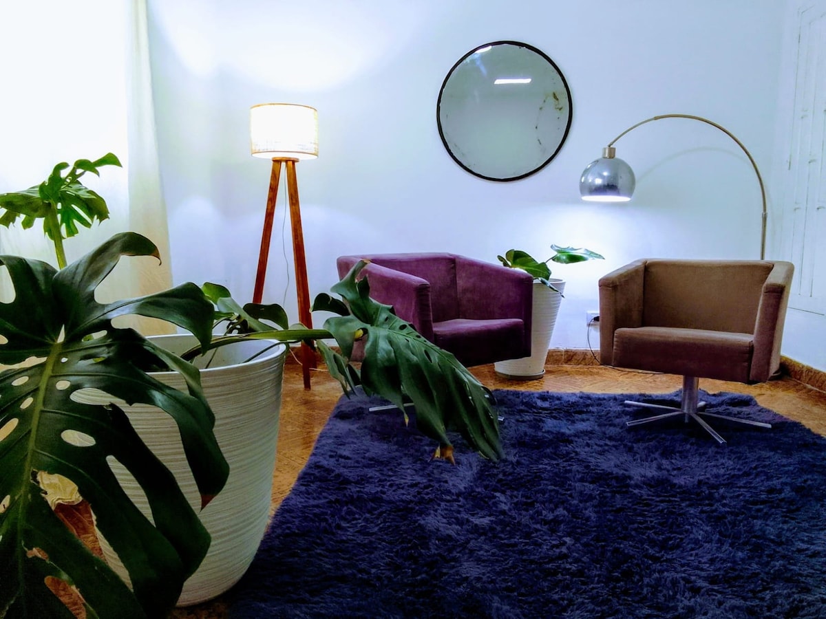 A tranquil seating area is presented with two upholstered chairs in complementary colors. A large round mirror is mounted on the wall, reflecting soft light from a standing lamp. Potted plants add a touch of greenery, while a plush, dark rug provides comfort underfoot.