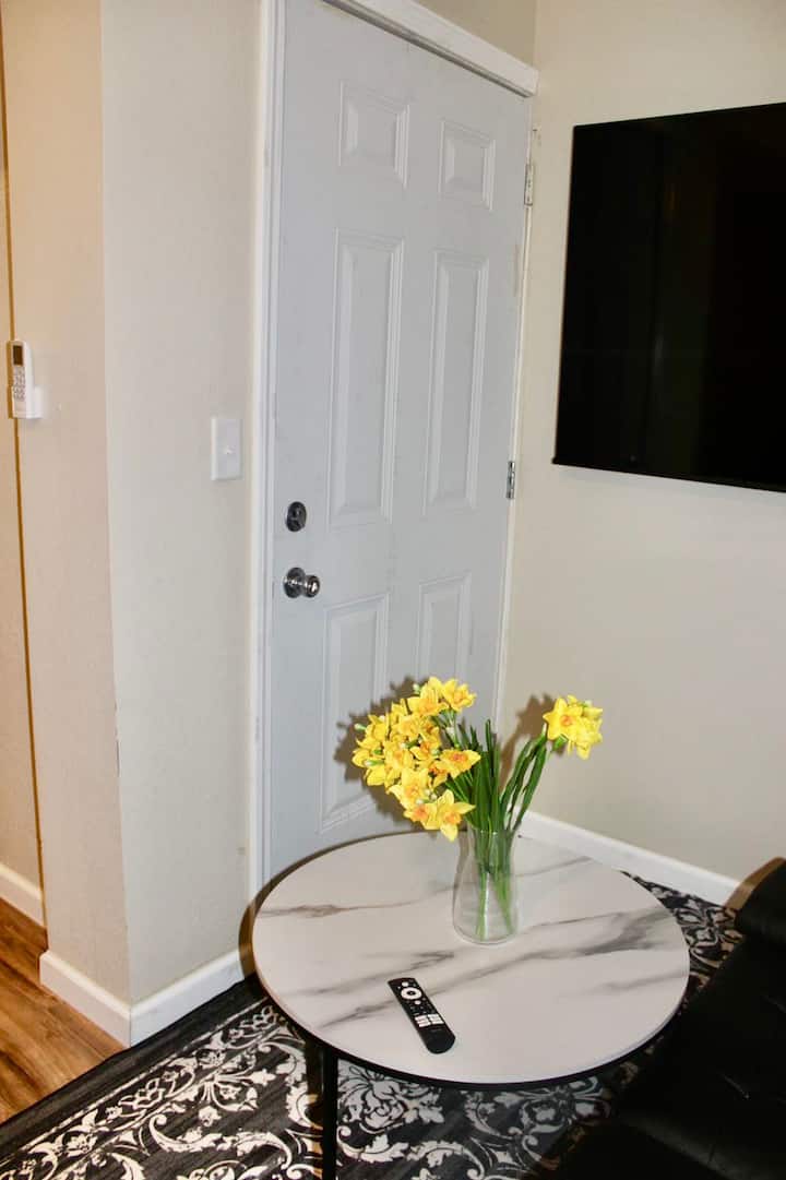 Comfy Chic 1 Br In Harlingen W Wifi & 65 Inch Tv! - Harlingen, TX